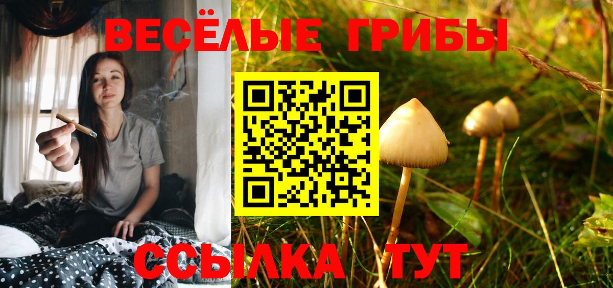 Псилоцибиновые грибы MAGIC MUSHROOMS Боровичи